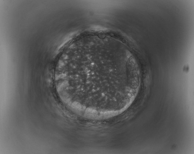 X0000112471397200909071122