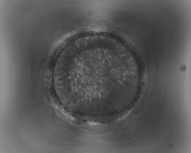 X0000112471398200909071122