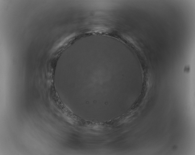 X0000112471399200909071122