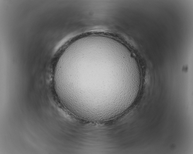 X0000112471400200909071122