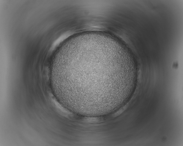 X0000112471402200909071122