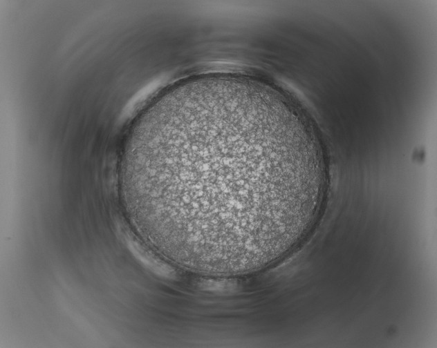 X0000112471403200909071122