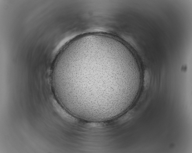 X0000112471404200909071122