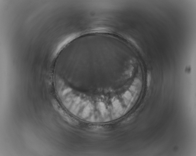 X0000112471405200909071123