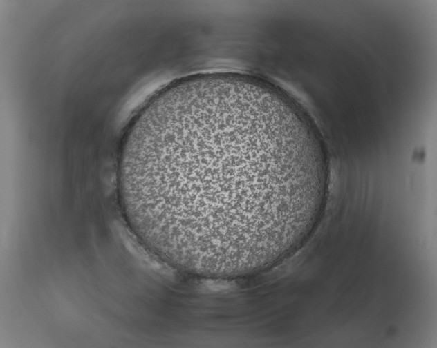 X0000112471407200909071123