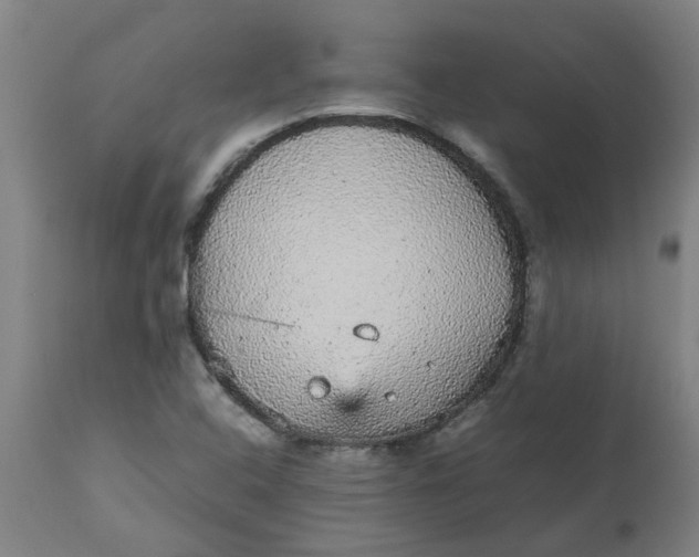 X0000112471408200909071123