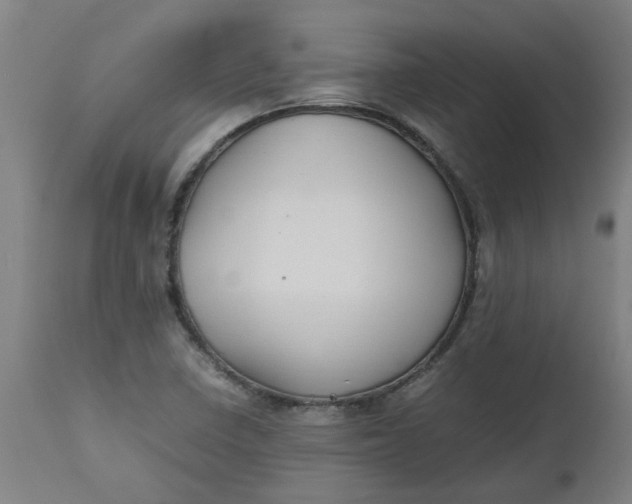 X0000112471410200909071123