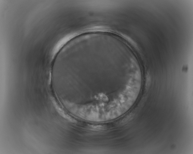 X0000112471413200909071123