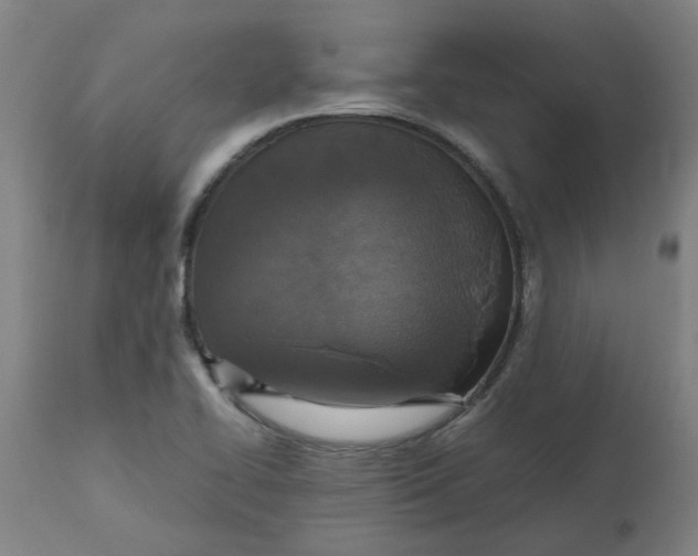 X0000112471414200909071123