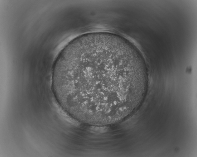 X0000112471415200909071123