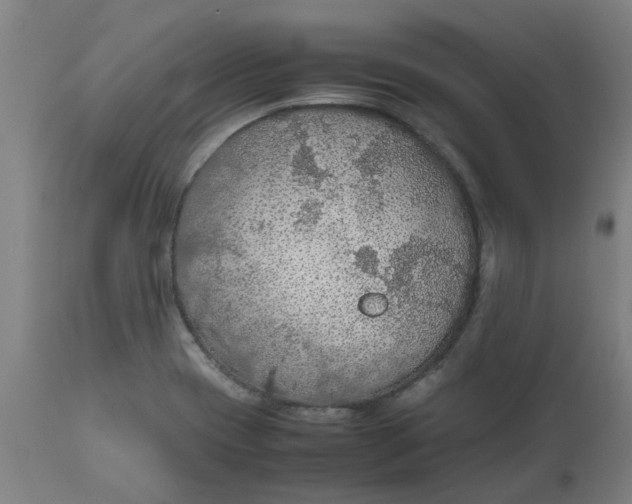 X0000112471417200909071123