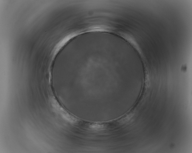 X0000112471419200909071123