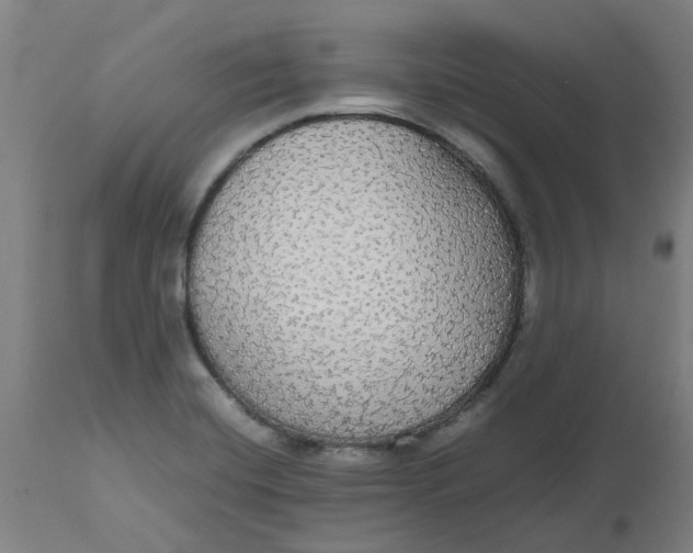 X0000112471420200909071123