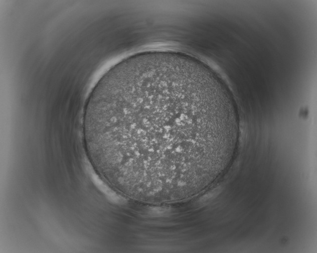 X0000112471421200909071123