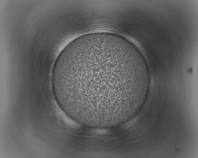 X0000112471423200909071123