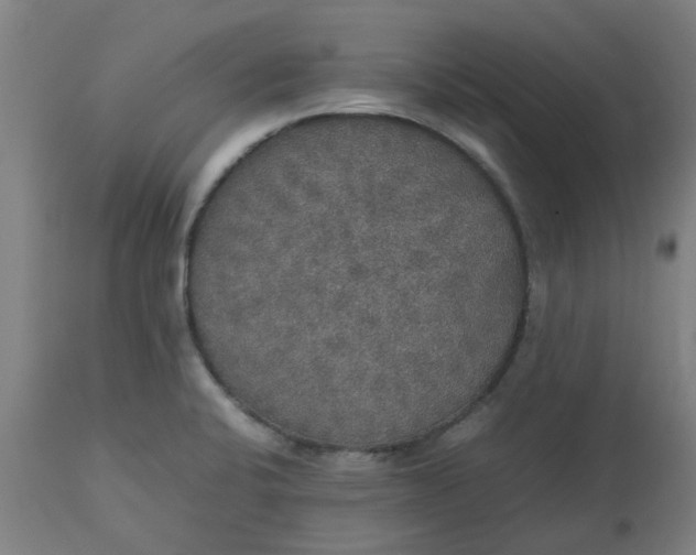 X0000112471424200909071123