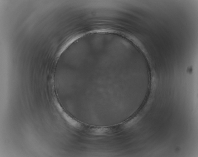 X0000112471425200909071123