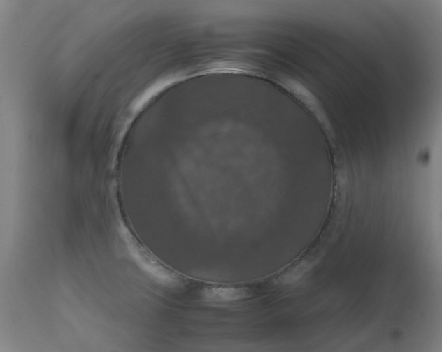 X0000112471427200909071123