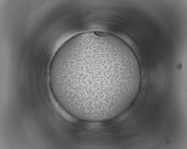 X0000112471431200909071123