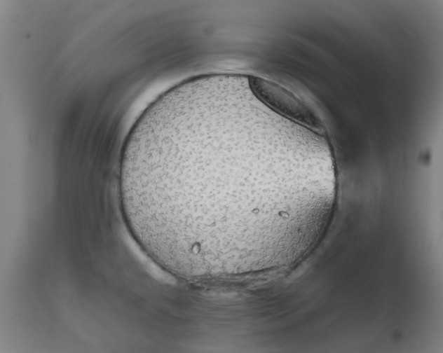 X0000112471432200909071123