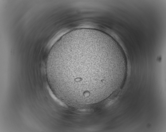 X0000112471433200909071123