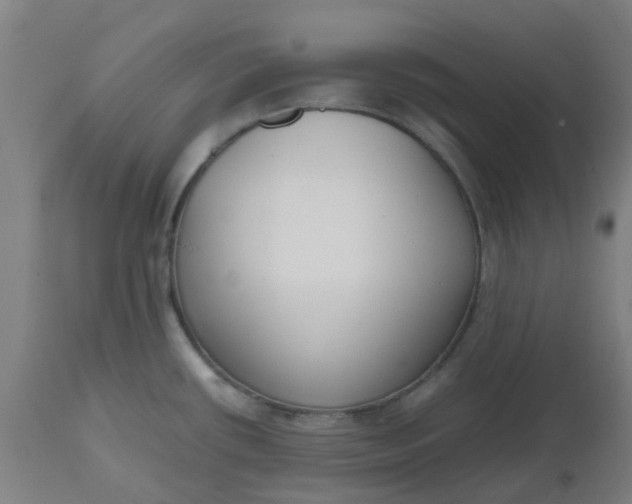 X0000112471434200909071123