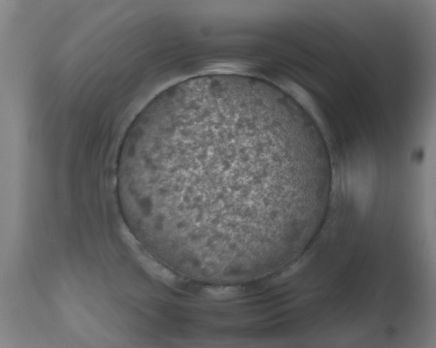 X0000112471435200909071123