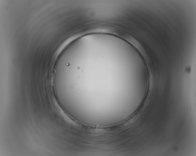 X0000112471436200909071123