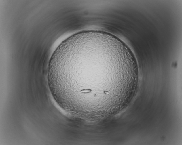 X0000112471437200909071123