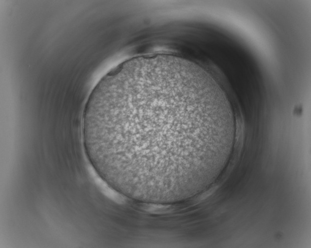 X0000112471439200909071123