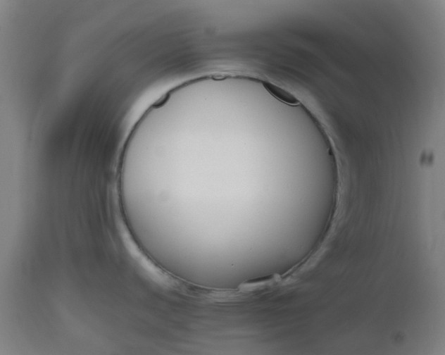 X0000112471440200909071123