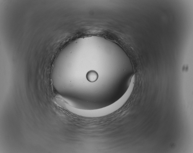 X0000112471441200909071122