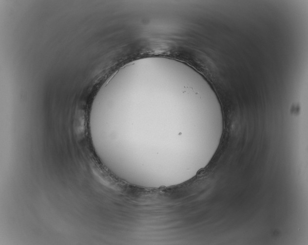 X0000112471442200909071122