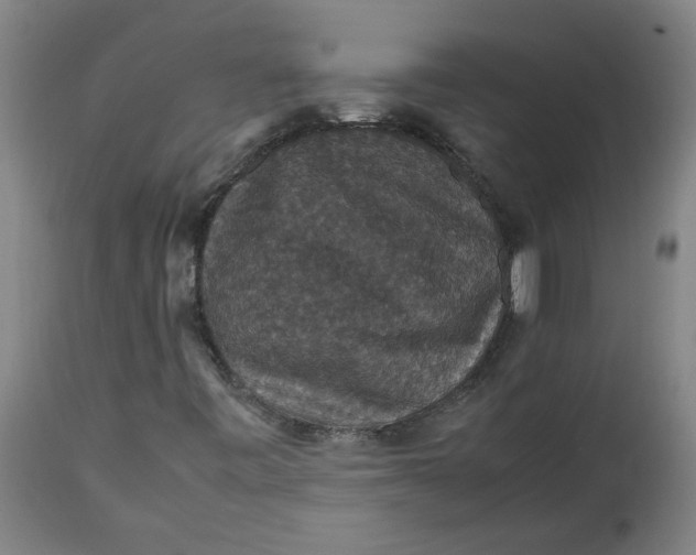 X0000112471443200909071122