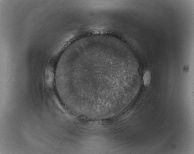 X0000112471444200909071122