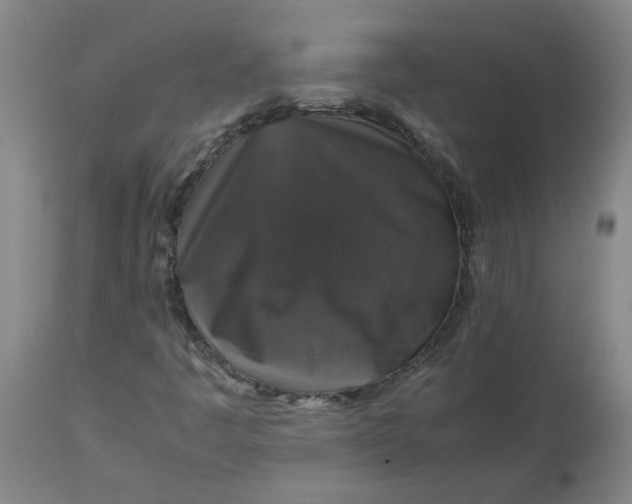 X0000112471445200909071122