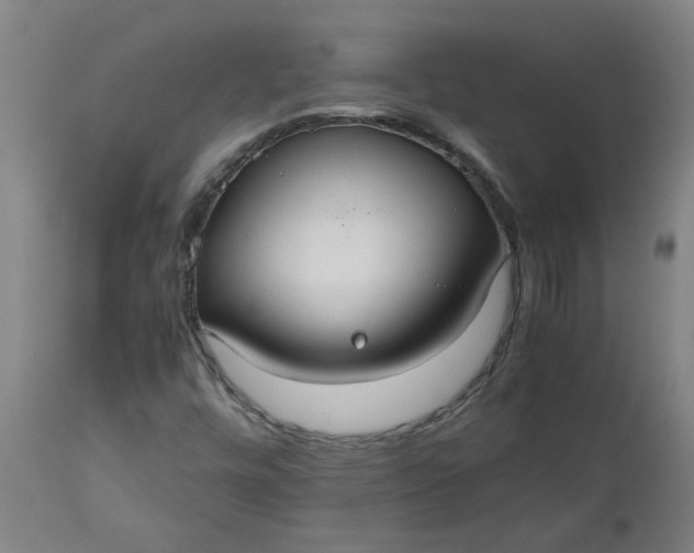 X0000112471448200909071122