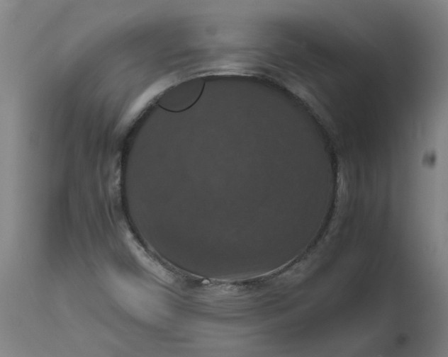 X0000112471450200909071122