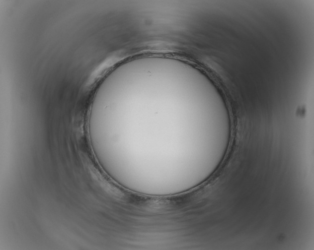 X0000112471451200909071122