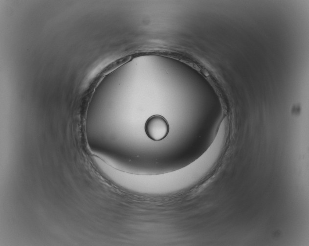 X0000112471453200909071122