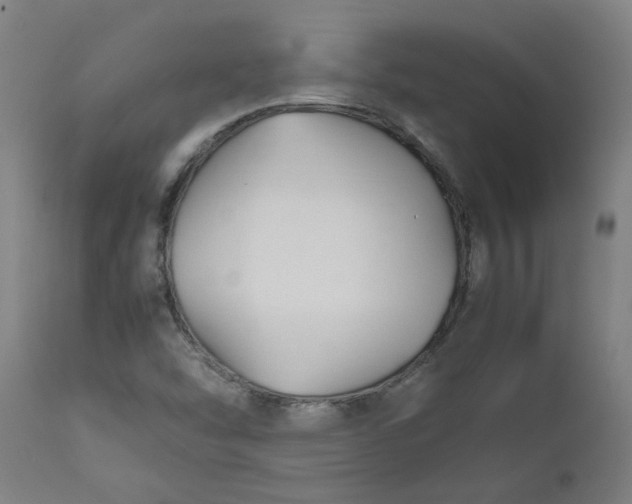 X0000112471454200909071122