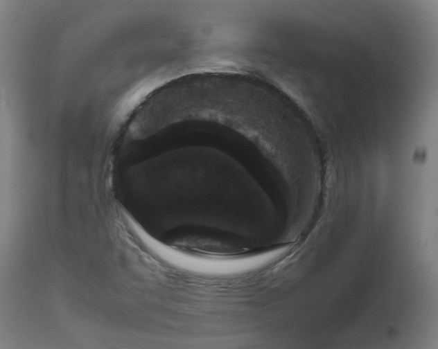 X0000112471455200909071122