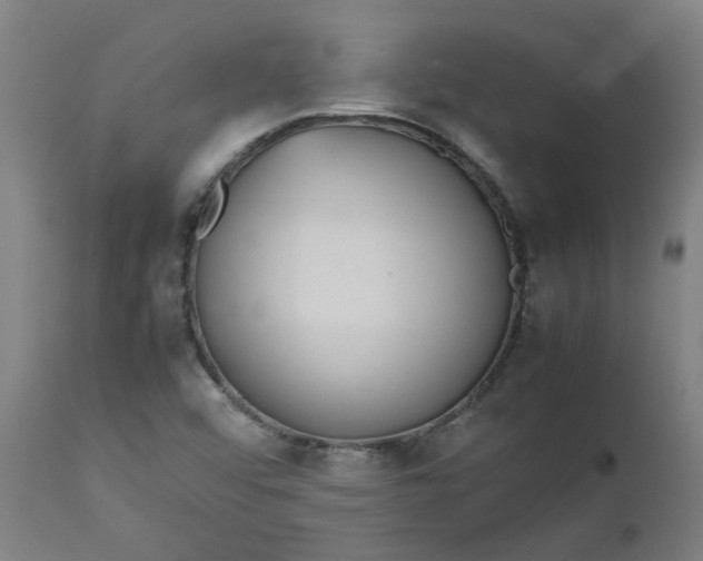 X0000112471456200909071122