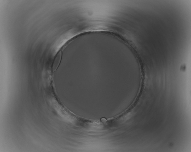 X0000112471457200909071122