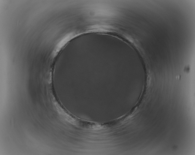 X0000112471459200909071122