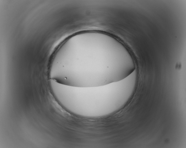 X0000112471460200909071122