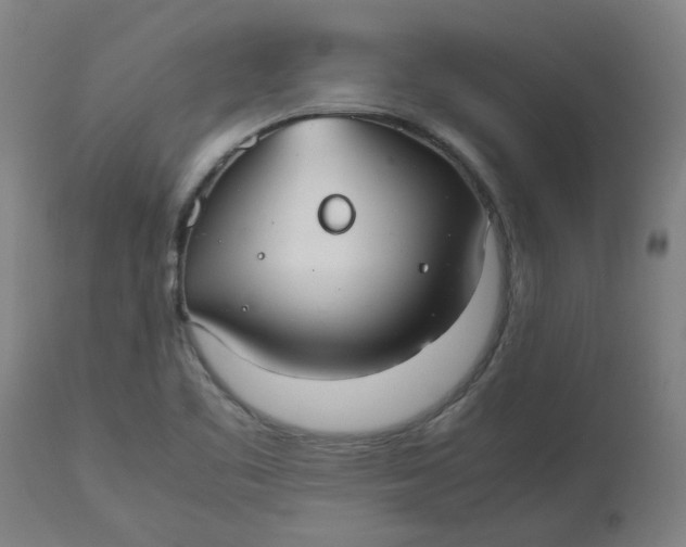 X0000112471461200909071122