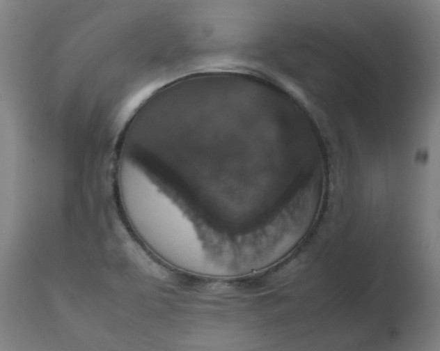 X0000112471463200909071122