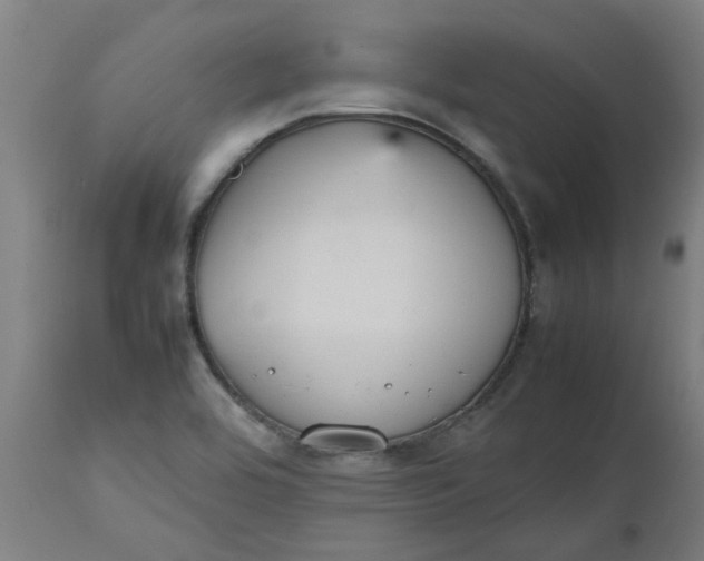 X0000112471464200909071122