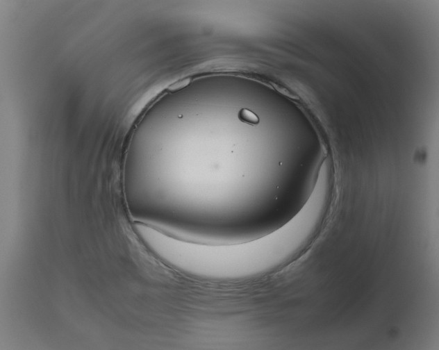 X0000112471465200909071122